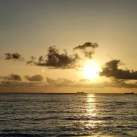 CiclopeZ100 아바타 사진