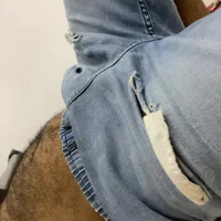 Foxmax1990's Profile Pic