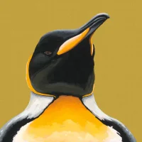 Ảnh Đại Diện mistertwister