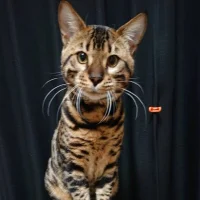 ky0624ky 아바타 사진