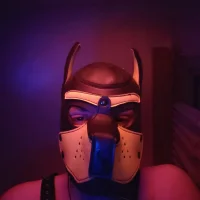 Профилна снимка на jugpuppy