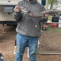 Foto do avatar de ShyButBrickedUp