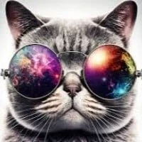 kool_kitty Immagine Avatar