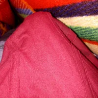 DesiToiletBBC's Profile Pic
