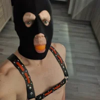 geschorenpik49 아바타 사진