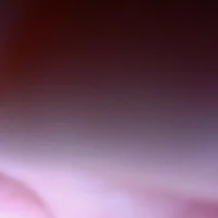 صورة الملف الشخصي لـ Test-model-PT