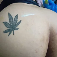 casalRua Poză avatar