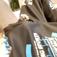 Reif2024 Profilový obrázek
