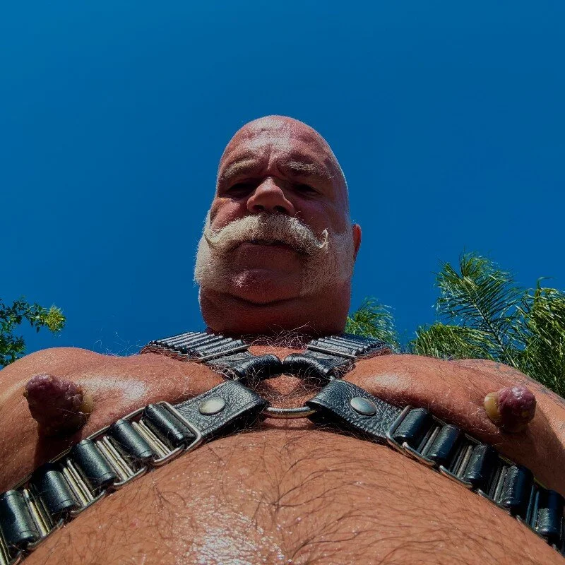 musclebearnips profile photo
