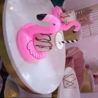 Amusive_canadian - Profil Fotoğrafı