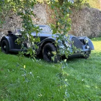 Morgan_Organのアバター写真