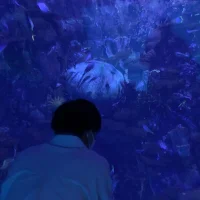 HIRO0844 아바타 사진