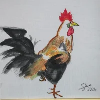 irishlongcock 头像图片