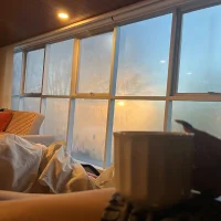AssameseDive 头像图片