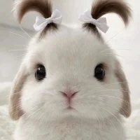 Аватар SK_TuTu