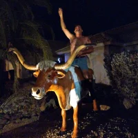 BARNYARDROOSTER's Avatar Photo