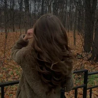 arianasteels profilbillede