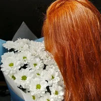 Foto de perfil de Red__Girll