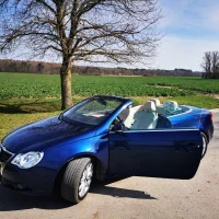 Rosalia478 avatarképe