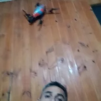 pcdrackalucard model avatar