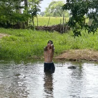 luis_v046