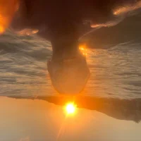 terryhawks profilbillede