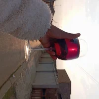 ExoticSA__ Profilový obrázek