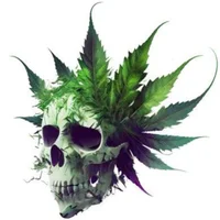 chillfrog82@xh's Profile Pic