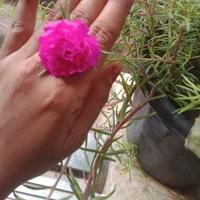Visha65's Profile Pic
