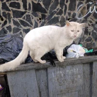 Ảnh Đại Diện issam78