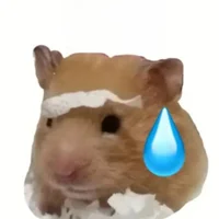 Ảnh Đại Diện hajimi_