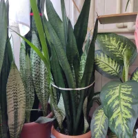 Gergowzersoy45: изображение аватарки