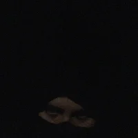 khollock420 Avatar-Bild