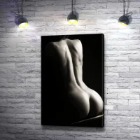 Photo de profil de Milena_Stich