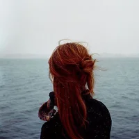 Shy__Foxyn Profiilikuva