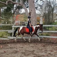 Profilová fotka Journie_Rose