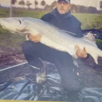 feet77 Immagine Avatar