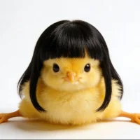Image d’avatar de XixiBuXixi_