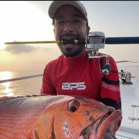 Ahmado199's Profile Pic