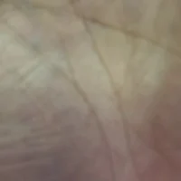 letstry267 webcam