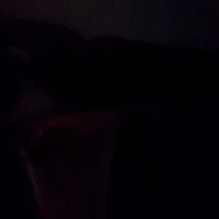 maxmax59's Profile Pic