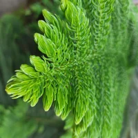 123abhi_'s Avatar Photo