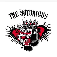 Image d’avatar de CAT-THENOTORIOUS