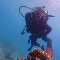 dirty_indian_couple's Profile Pic