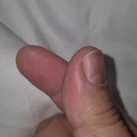 lzfoo's Profile Pic