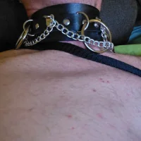 AnalTraining12 Avatarbild