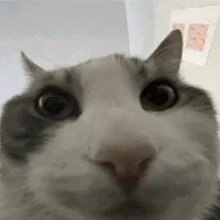 GabaGOONing Gambar Avatar