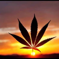 kt69 아바타 사진