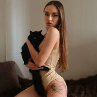 Gambar Profil BelliniSim