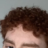 gingerbreeders Profilfoto